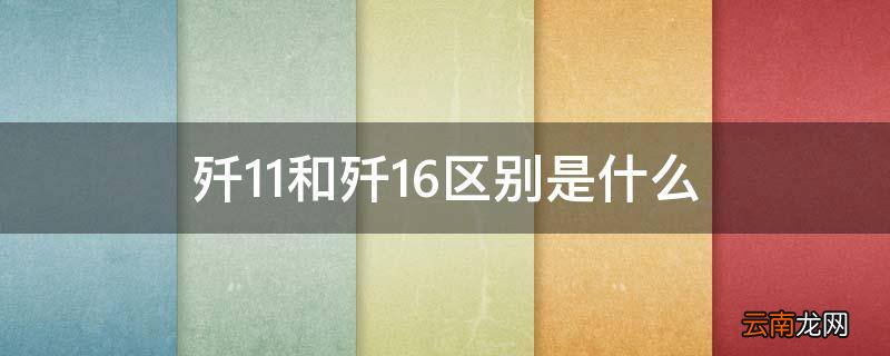 歼11和歼16区别是什么