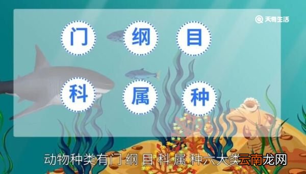 动物种类有哪六大类 动物种类有哪六大类呢
