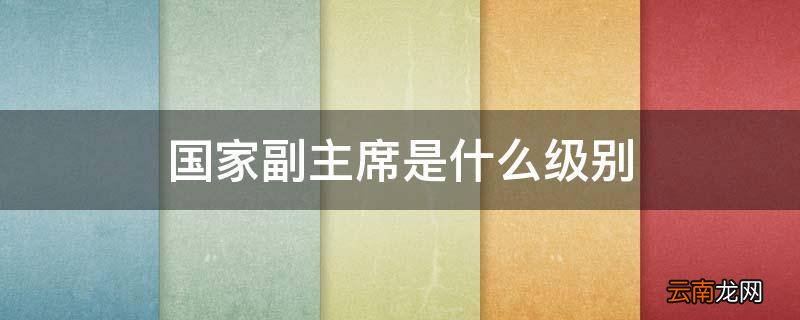 国家副主席是什么级别