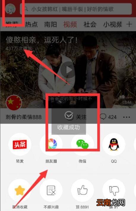 头条里视频收藏后哪里找