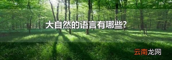 大自然的语言有哪些?