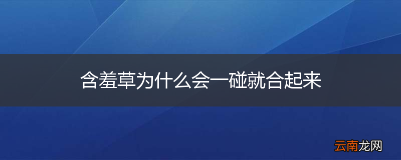 含羞草为什么会一碰就合起来