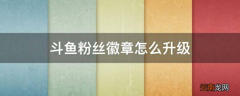 斗鱼粉丝徽章怎么升级
