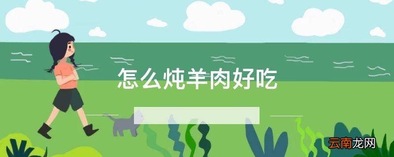 怎么炖羊肉好吃