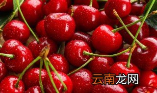 车厘子怎么种 车厘子怎样种植