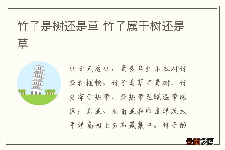 竹子是树还是草 竹子属于树还是草
