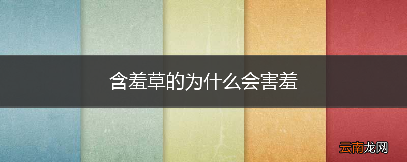 含羞草的为什么会害羞