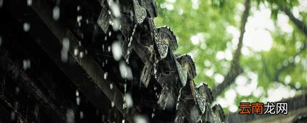 梅雨期的特点 梅雨期的特点是什么