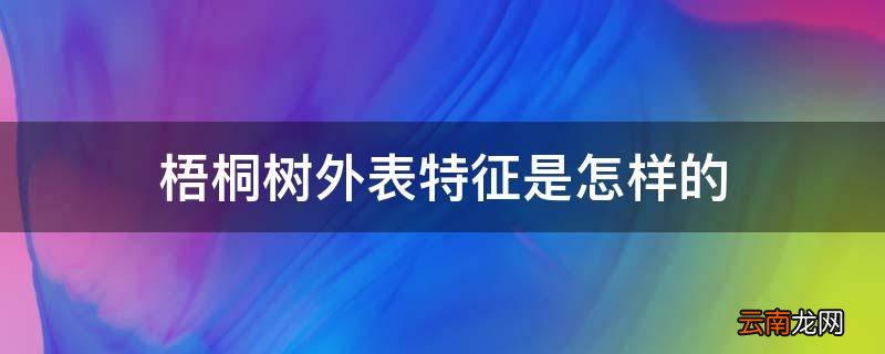梧桐树外表特征是怎样的