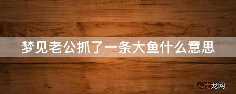梦见老公抓了一条大鱼什么意思