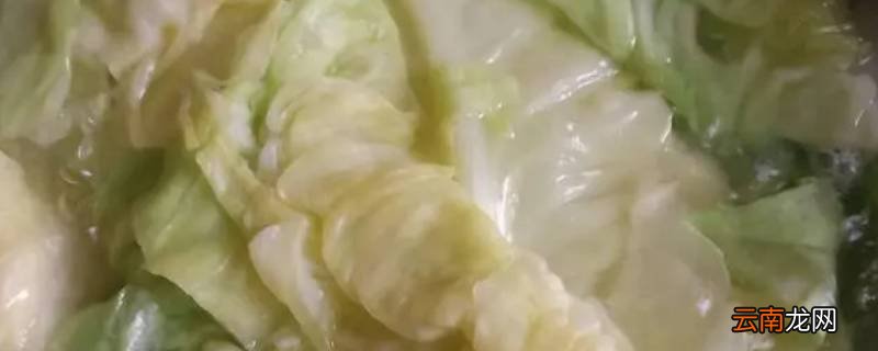包菜做包子水怎么弄干