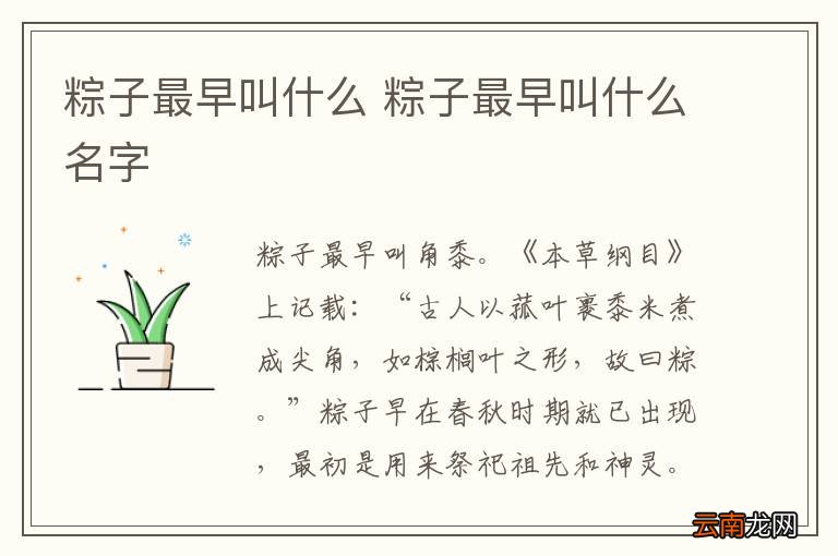 粽子最早叫什么 粽子最早叫什么名字