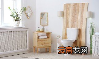 肥皂掉厕所会堵住吗 肥皂掉厕所会不会堵住