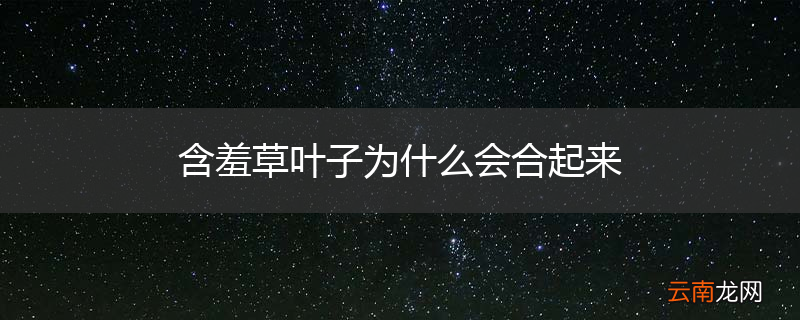 含羞草叶子为什么会合起来