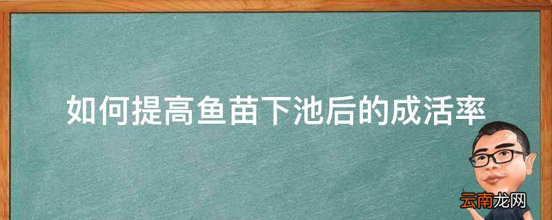 如何提高鱼苗下池后的成活率
