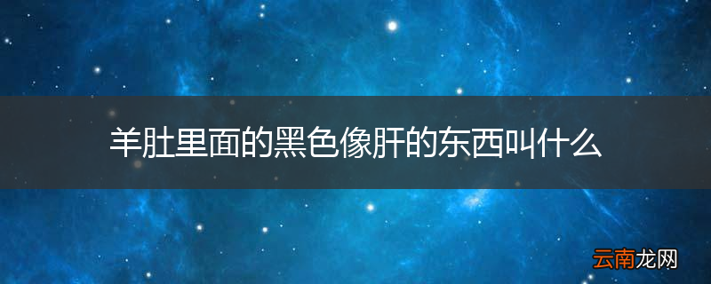 羊肚里面的黑色像肝的东西叫什么