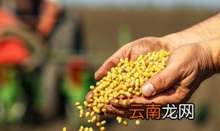 植物种子的传播方式有哪些仿写 植物种子的传播方式有什么
