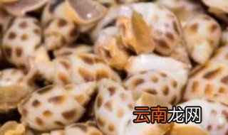 煮黄螺要冷水下锅还是热水煮开下锅 黄螺是冷水下锅煮多久