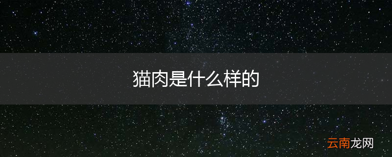 猫肉是什么样的