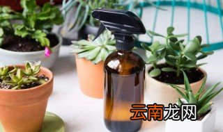 家里养花自己怎么配肥料，家里养花用什么肥料