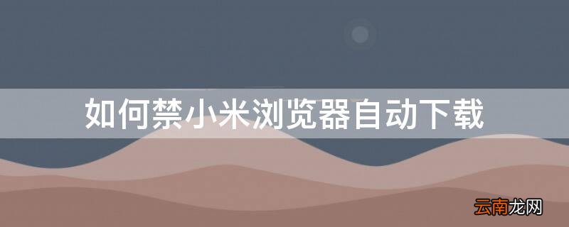 怎样关闭小米浏览器自动下载 如何禁小米浏览器自动下载