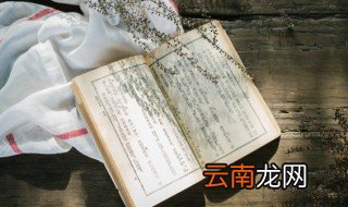 明珠弹雀出处 词语明珠弹雀出处