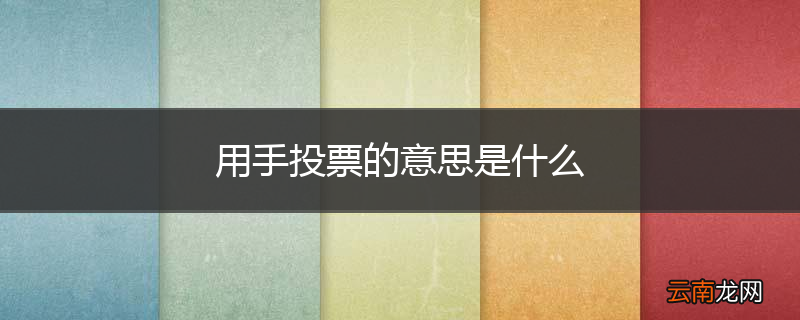 用手投票的意思是什么