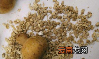 葫芦种子怎么种 葫芦种子怎么种最好