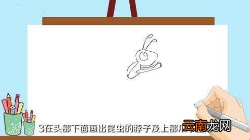 昆虫怎么画