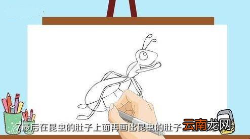 昆虫怎么画