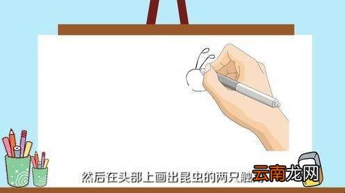 昆虫怎么画