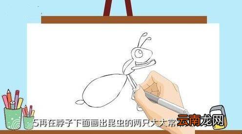 昆虫怎么画