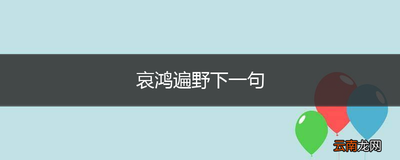 哀鸿遍野下一句