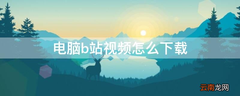 电脑b站视频怎么下载到本地 电脑b站视频怎么下载