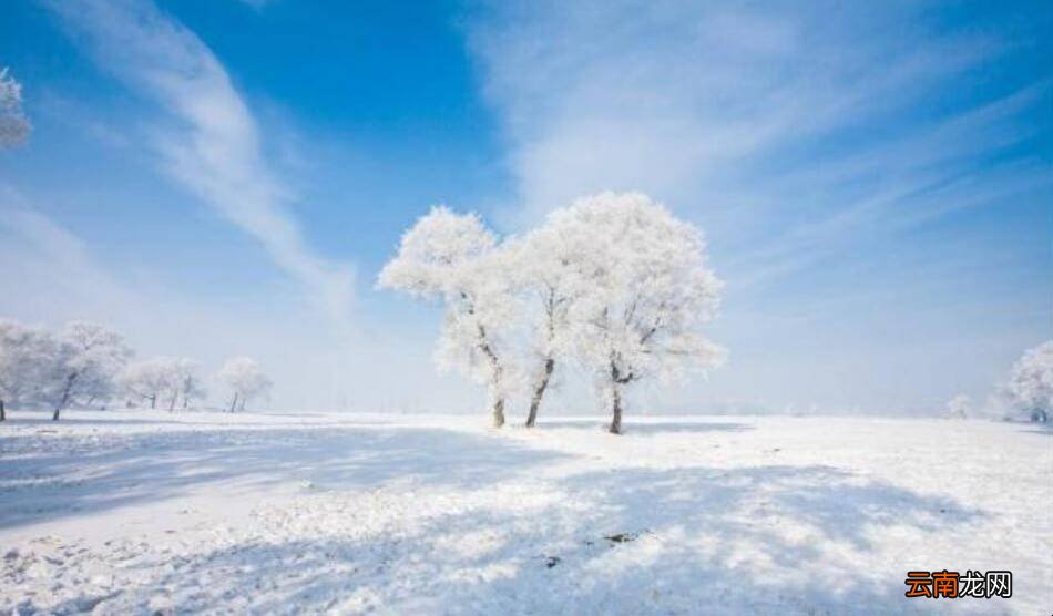 看雪最好的地方有哪些