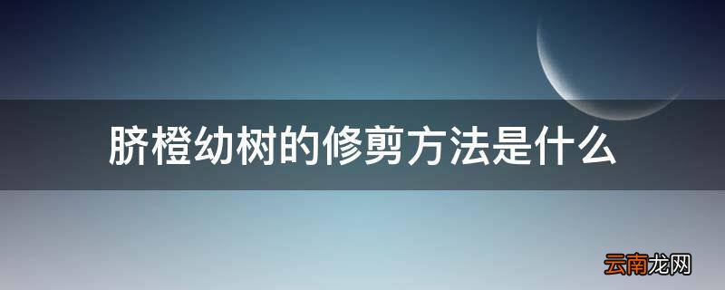 脐橙幼树的修剪方法是什么