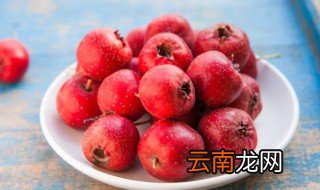 山楂的种子怎么种 山楂的种子如何种植