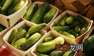 梦见吃黄瓜是什么意思 梦见吃黄瓜好不好