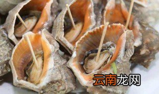 海螺冷水煮还是热水煮几分钟 海螺冷水下锅水开之后煮多久