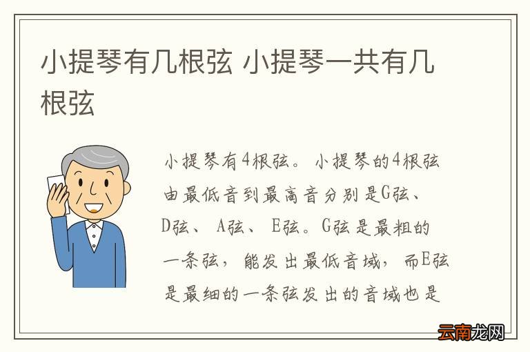 小提琴有几根弦 小提琴一共有几根弦