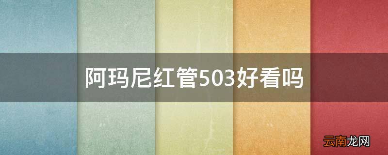 阿玛尼红管503好看吗