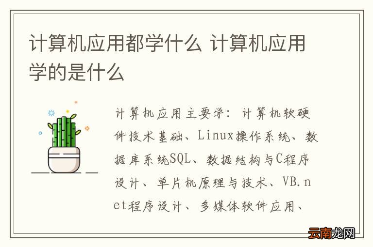 计算机应用都学什么 计算机应用学的是什么