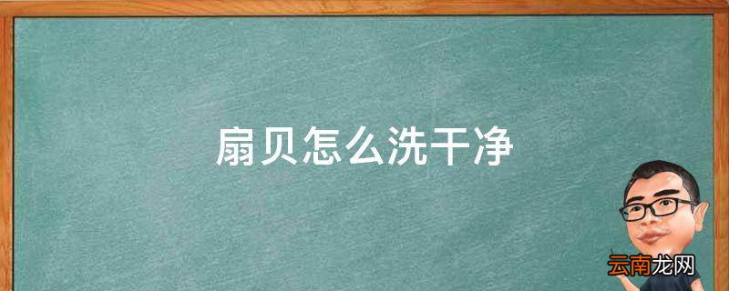 扇贝怎么洗干净