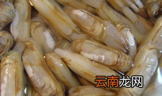 新鲜的蛏子怎么保存 新鲜的蛏子怎么保存最好