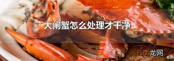 大闸蟹怎么处理才干净
