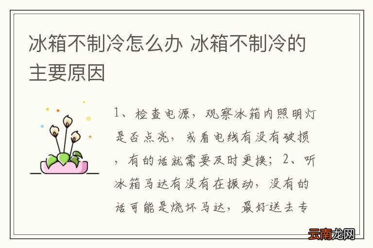 冰箱不制冷怎么办 冰箱不制冷的主要原因