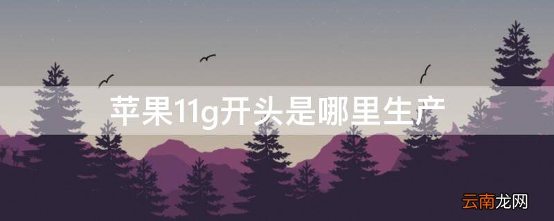 g0开头的iphone11哪里产的 iPhone11g开头是哪里生产