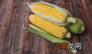 冷水下锅玉米煮多久会熟透 冷水下锅玉米煮多久会熟