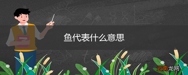 鱼代表什么意思