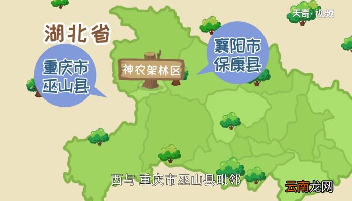 鄂p是哪里的车牌号 鄂P代表那个城市的车牌号